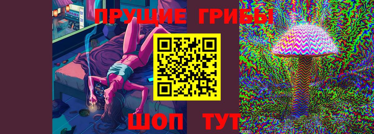 Волгодонск  Псилоцибиновые грибы Magic Shrooms  Вход с VPN 