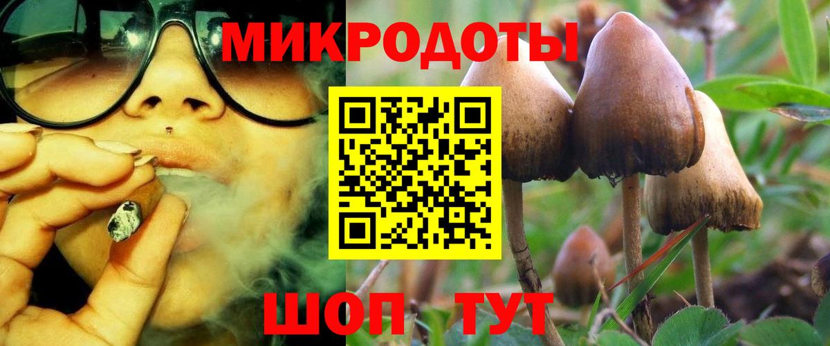 Галлюциногенные грибы Magic Shrooms Волгодонск